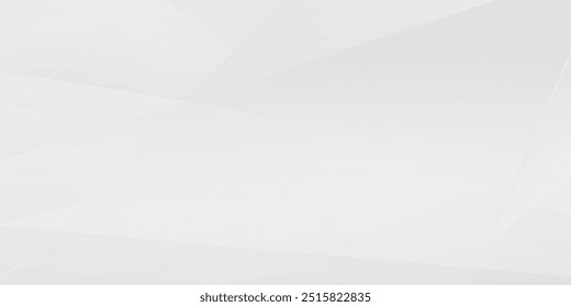 Abstract white and gray background. smooth abstract background, blurred pattern. Light pale vector background abstrac