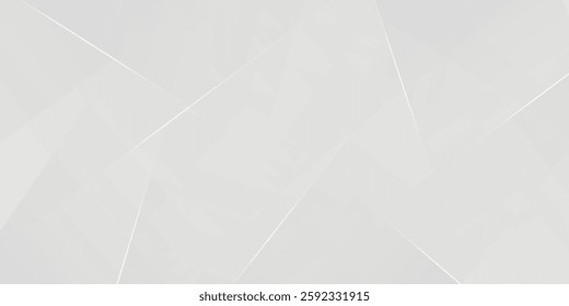 Abstract white and gray background. smooth abstract background, blurred pattern. Light pale vector background. Vector illustration