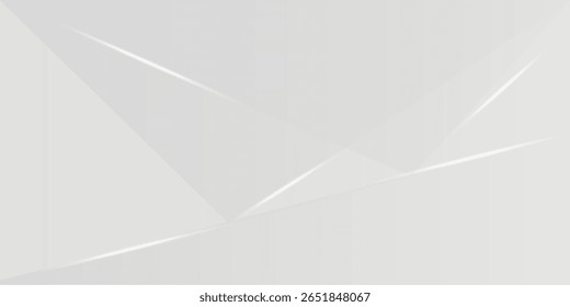 Abstract white and gray background. smooth abstract background, blurred pattern.  vector eps 10