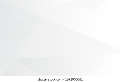 Abstract white and gray background. Vector silver space modern design texture. 