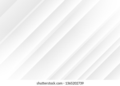 Abstract white and gray color background, vector illustration.