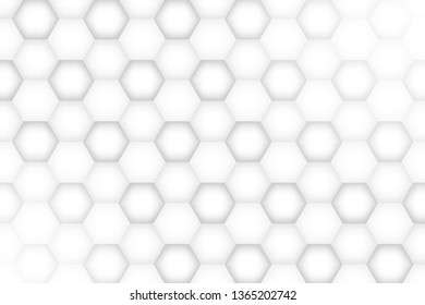 Abstract white and gray color background, vector illustration.