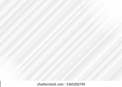 Abstract white and gray color background, vector illustration.