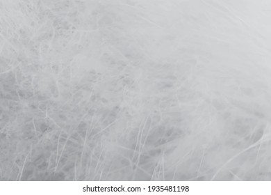 Abstract white and gray color background. Vector illustration.