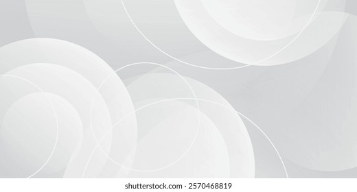 Abstract white and gray color background. Eps10 vector