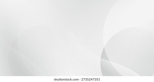 Abstract white and gray color background. Eps10 vector