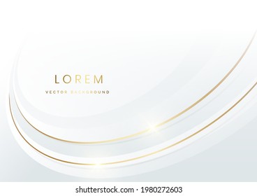 Abstract white and gray cruved luxury background with gold lines curve luxury style. Vector illustration