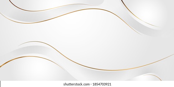 Abstract white and gray dynamic waves background with gold line curve luxury style. Vector illustration