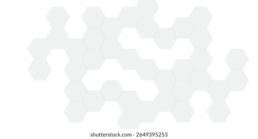 Abstract white and gray hexagon technology lines background. Abstract white and grey color hexagonal geometric background with copy space. Abstract white lines background. - Powered by Shutterstock - Get 15% off with code: PIKWIZARD15
