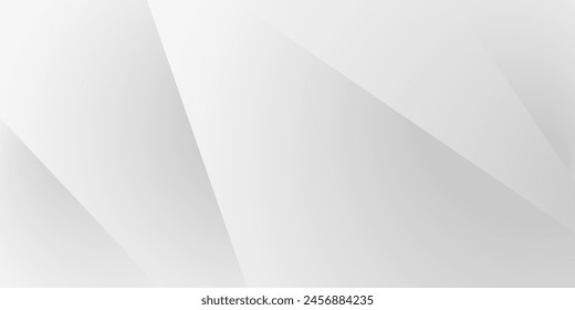 Abstract white and gray texture line shadow shape background. white pattern. vector illustration