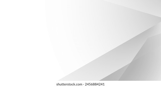 Abstract white and gray texture line shadow shape background. white pattern. vector illustration