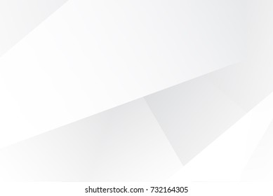 Abstract White Grey Background Stock Vector (Royalty Free) 732164305 ...