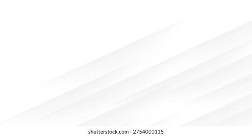 Fondo blanco y gris