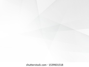 Abstract white and grey color lines background. Pattern geometric style. Space for text. Texture with light and shadow. Digital technology wallpaper used in the corporate. Vector illustration.