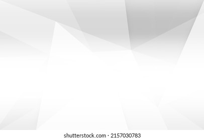 Abstract white and grey color lines background. Pattern geometric style. Space for text. Texture with light and shadow. Digital technology wallpaper used in the corporate. Vector illustration.