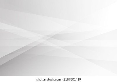 Abstract white and grey color lines background. Pattern geometric style. Space for text. Texture with light and shadow. Digital technology wallpaper used in the corporate. Vector illustration.