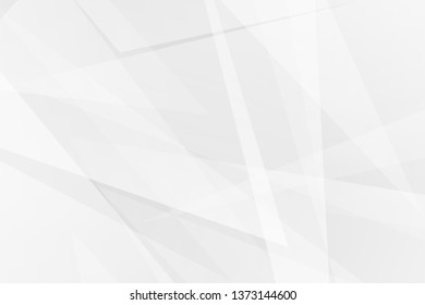 Abstract white and grey on light silver background modern design. Vector illustration EPS 10.