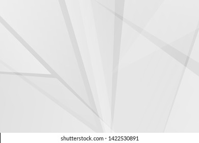 Abstract white and grey on light silver background modern design. Vector illustration EPS 10.