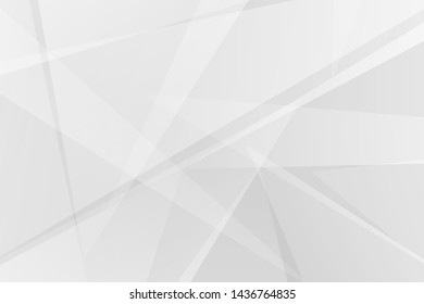 Abstract white and grey on light silver background modern design. Vector illustration EPS 10.