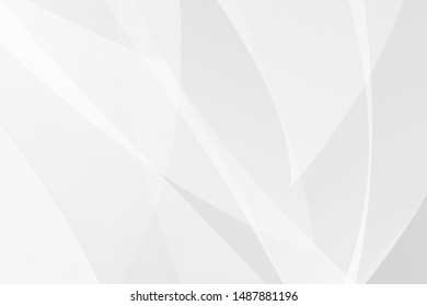 Abstract white and grey on light silver background modern design. Vector illustration EPS 10.