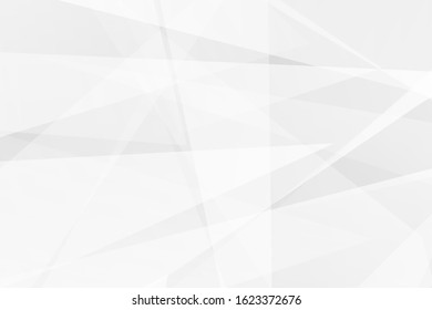 Abstract white and grey on light silver background modern design. Vector illustration EPS 10.