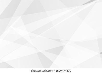 Abstract white and grey on light silver background modern design. Vector illustration EPS 10.