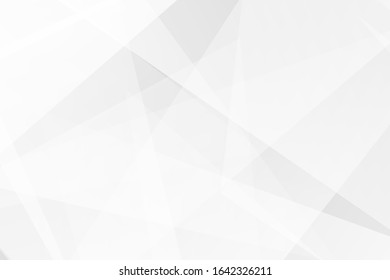 Vector Abstract Elegant White Grey Background Stock Vector (Royalty ...