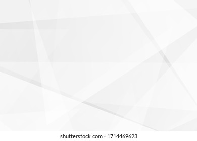Abstract white and grey on light silver background modern design. Vector illustration EPS 10.
