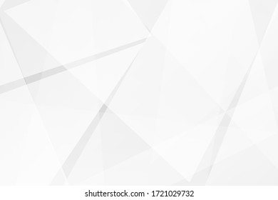 Abstract white and grey on light silver background modern design. Vector illustration EPS 10.