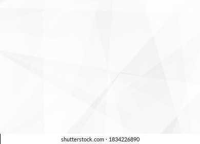 Abstract white and grey on light silver background modern design. Vector illustration EPS 10.