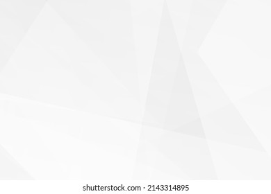 Abstract white and grey on light silver background modern design. Vector illustration EPS 10.