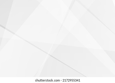 Abstract white and grey on light silver background modern design. Vector illustration EPS 10.