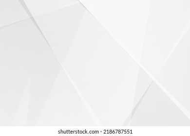 Abstract white and grey on light silver background modern design. Vector illustration EPS 10.