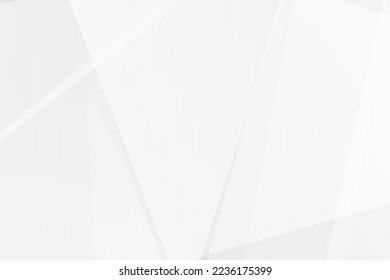 Abstract white and grey on light silver background modern design. Vector illustration EPS 10.
