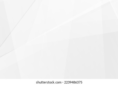 Abstract white and grey on light silver background modern design. Vector illustration EPS 10.