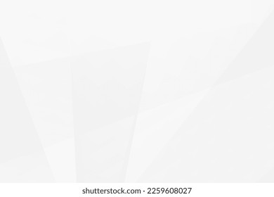 Abstract white and grey on light silver background modern design. Vector illustration EPS 10.