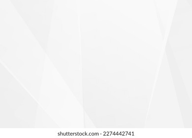 Abstract white and grey on light silver background modern design. Vector illustration EPS 10.