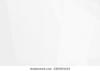 Resumen de diseño moderno en blanco y gris sobre fondo plateado claro. Ilustración del vector EPS 10.