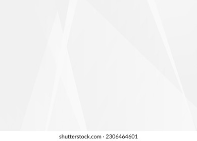 Abstract white and grey on light silver background modern design. Vector illustration EPS 10.