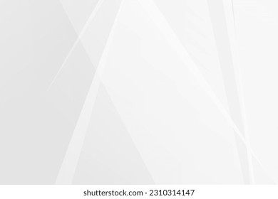Resumen de diseño moderno en blanco y gris sobre fondo plateado claro. Ilustración del vector EPS 10.