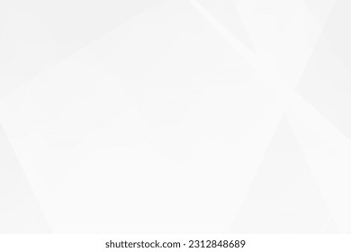 Abstract white and grey on light silver background modern design. Vector illustration EPS 10.