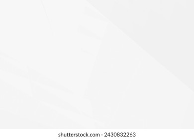 Abstract white and grey on light silver background modern design. Vector illustration eps 10.
