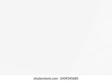 Abstract white and grey on light silver background modern design. Vector illustration eps 10.