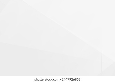 Abstract white and grey on light silver background modern design. Vector illustration eps 10.