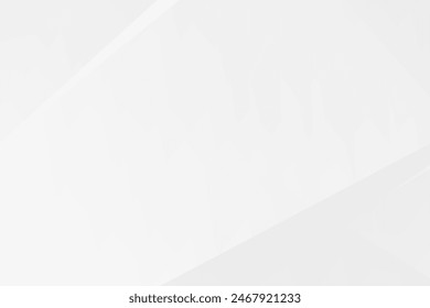 Abstract white and grey on light silver background modern design. Vector illustration eps 10.