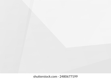 Abstract white and grey on light silver background modern design. Vector illustration eps 10.
