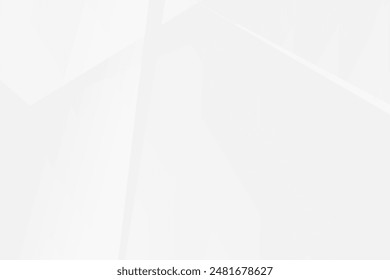 Abstract white and grey on light silver background modern design. Vector illustration eps 10.
