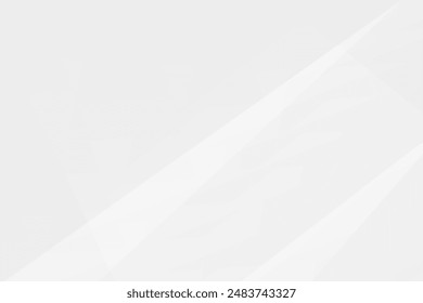 Abstract white and grey on light silver background modern design. Vector illustration eps 10.