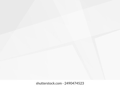 Abstract white and grey on light silver background modern design. Vector illustration eps 10.