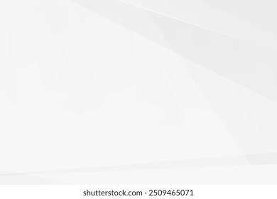 Abstract white and grey on light silver background modern design. Vector illustration eps 10.